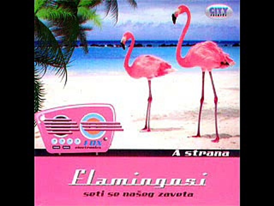 Flamingosi - Dance