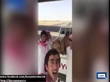 Laughing Camel in Selfie