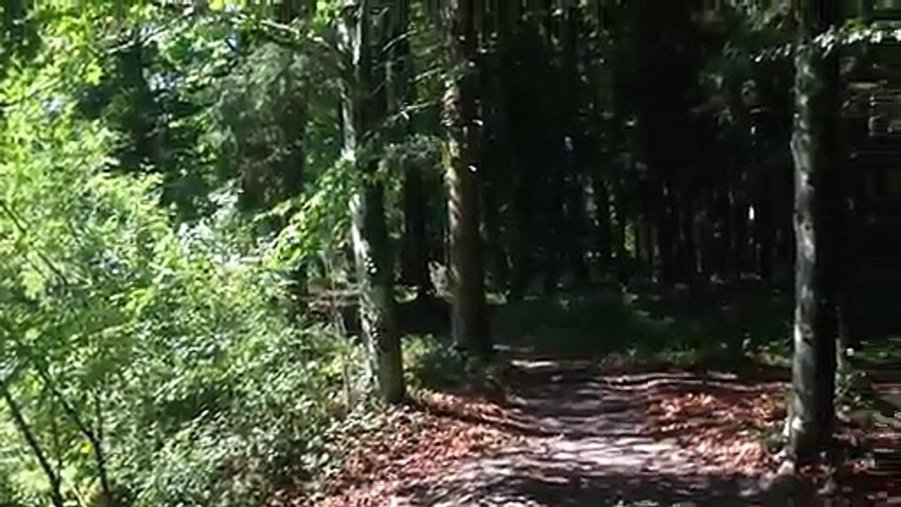 Course de Drones en mode Star Wars!