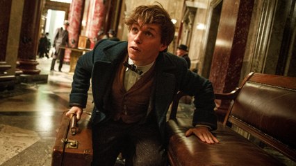 PLAY ► Fantastic Beasts and Where to Find Them Full Movie
