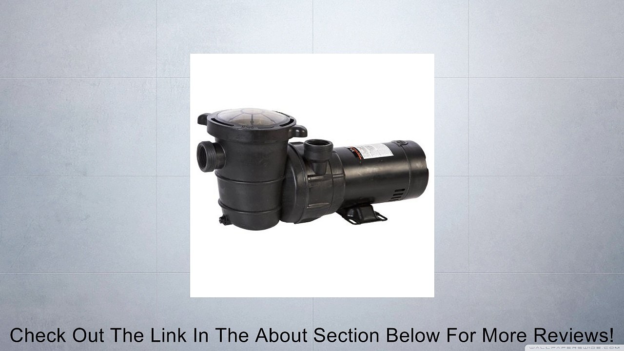 Blue Line Above Ground Maxi Pool Pump Review