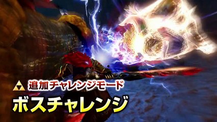 Hyrule Warriors - Le Pack Ganon