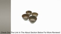 Large Japanese 4 pc Rice Soup Noodle Bowls Sepia Review