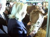 Départementales: Marine Le Pen mise au salon sur le vote rural