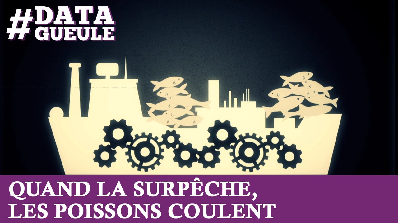 Quand la surpêche, les poissons coulent #DATAGUEULE 27