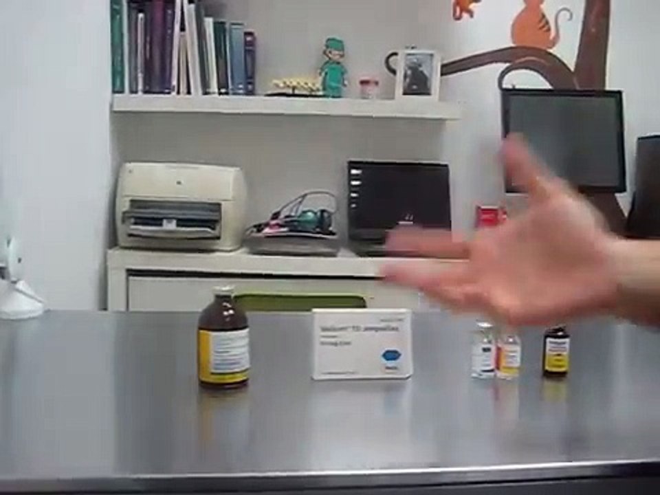 CIM Formación - Preanestésicos en veterinaria