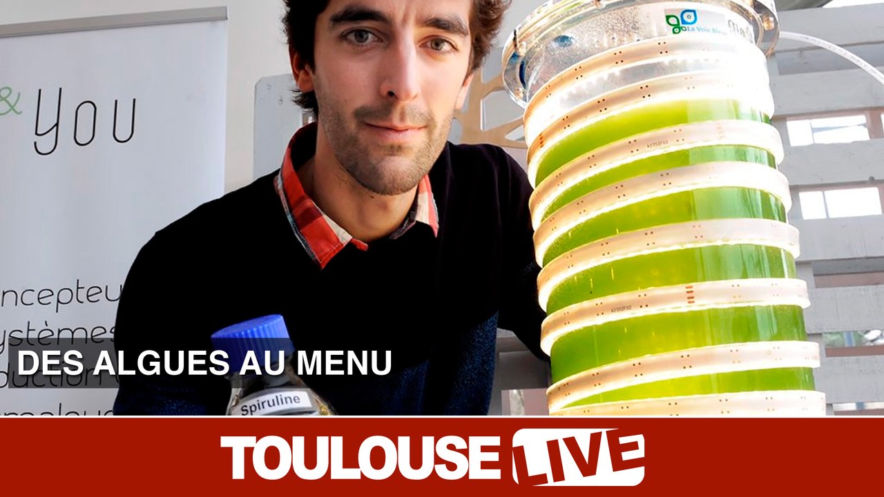 Alimentation du futur. Des algues dans les assiettes ?