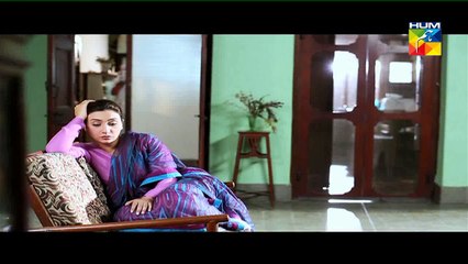 Mehram Episode 24 - 26 February 2015 - Hum Tv