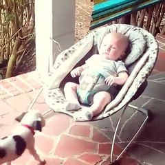Baby Dog Wants to Take a Nap with his Baby Owner