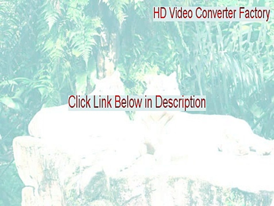 HD Video Converter Factory Cracked - Download Now
