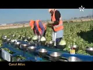 مغاربة اسبانيا والأزمة الخانقة CANAL ATLAS