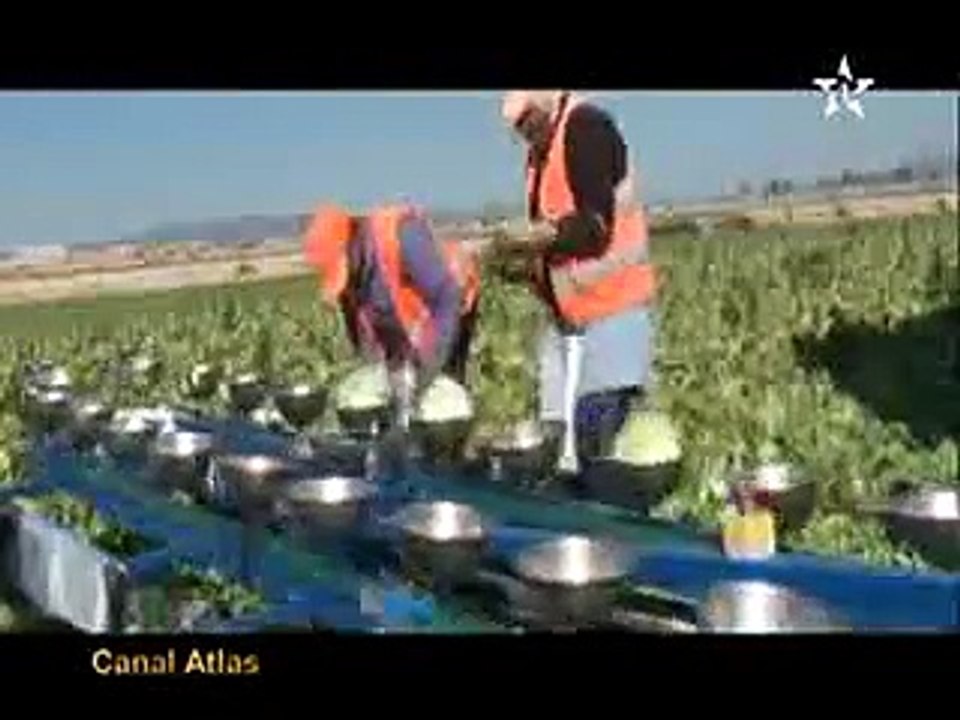 مغاربة اسبانيا والأزمة الخانقة CANAL ATLAS