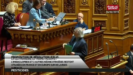 Proposition de résolution relative à la préservation des insectes pollinisateurs - En séance