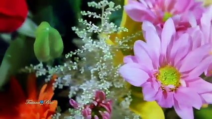Leo Rojas - Forever Love (Pan flute music)