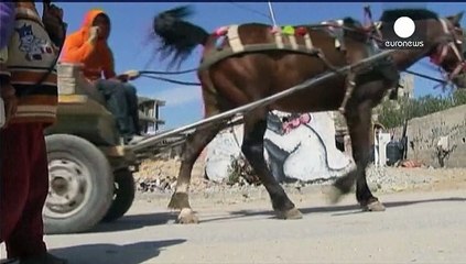 El grafitero Banksy deja su impronta en la Franja de Gaza