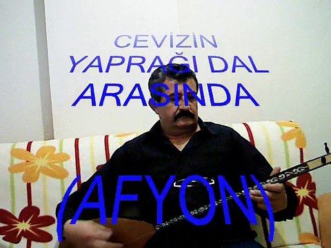 NAZIM İMREN-CEVİZİN YAPRAĞI