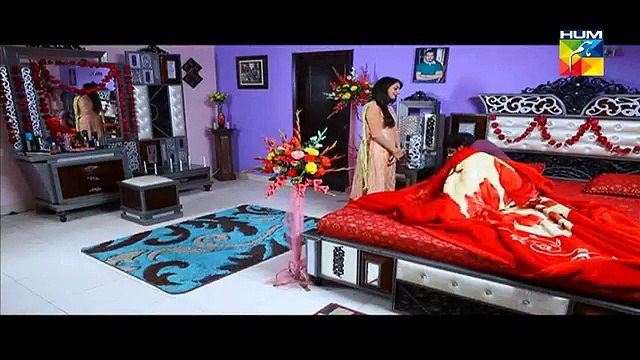 Sartaj Mera Tu Raaj Mera Episode 4 on Hum Tv in High Quality 26th February 2015