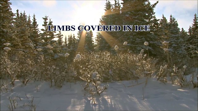 Eric & James Karns - I Ride The Plains (Offical Lyric Video)