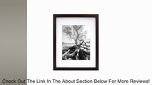 MCS Art Frame, 12 by 16-Inch Frame with 8 by 12-Inch Mat Opening, Walnut Finish (47589) Review