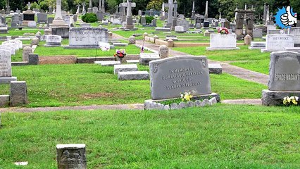 Response Video MaukePeChauka! - India vs UAE - ICC Cricket World Cup 2015