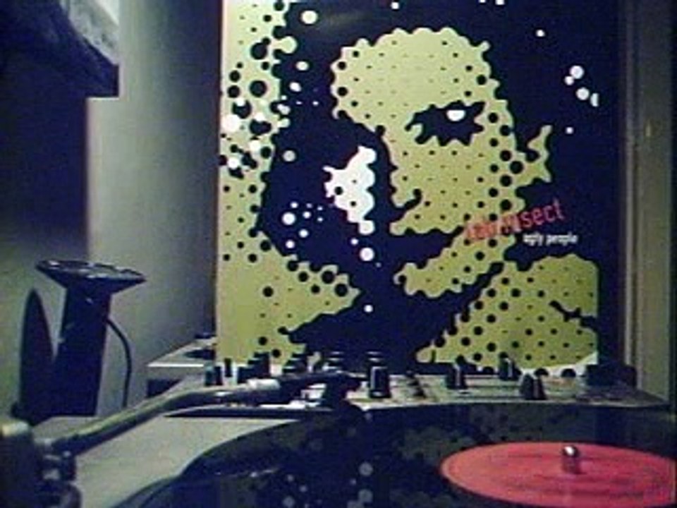 Lab Insect - Fill for Me 12"