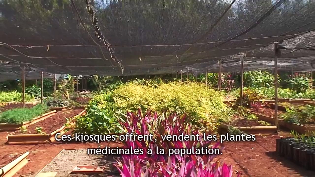 Cuba, La Révolution Verte Urbaine (2/3)