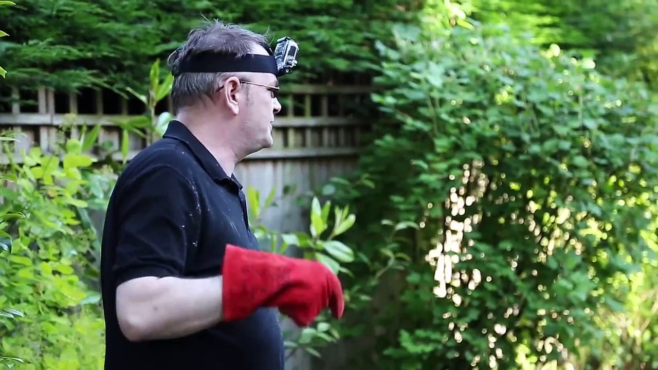 An Injured Deer needs Rescuing from a Garden