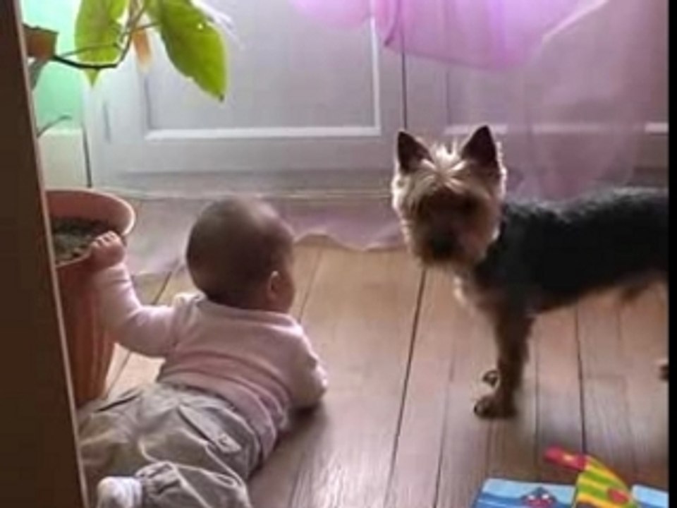 Viens jouer avec moi !