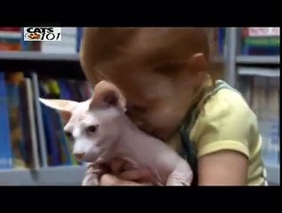 CATS 101 - Bambino [ENG]