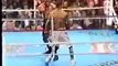 brutal beatings Boxing Roy Jones Jr vs Hopkins Rd10