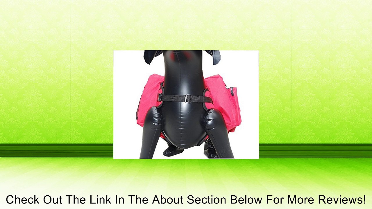 Dog Backpack/Harness Deluxe 2 in 1 With Bonus Review