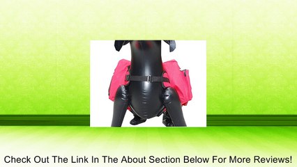 Dog Backpack/Harness Deluxe 2 in 1 With Bonus Review