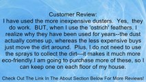 Ostrich Feather Dusters Review