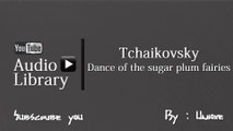 NoCopyrightSounds : Tchaikovsky - Dance of the sugar plum fairies