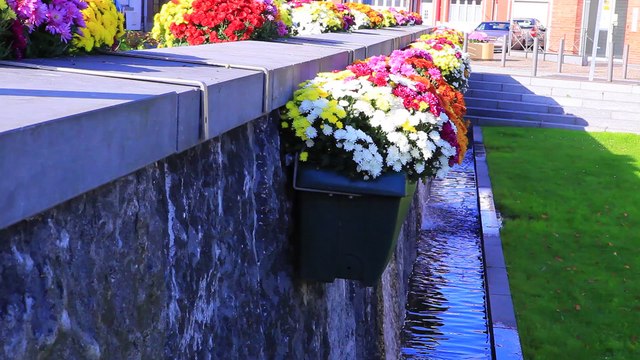2014-2015 : Présentation du BC Orchies