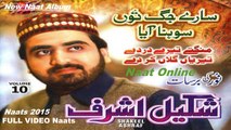 Noor Ki Birsat Best Video Naats Collection [2015] - Shakeel Ashraf - New Full Video Naats Album [2015] Naat Online