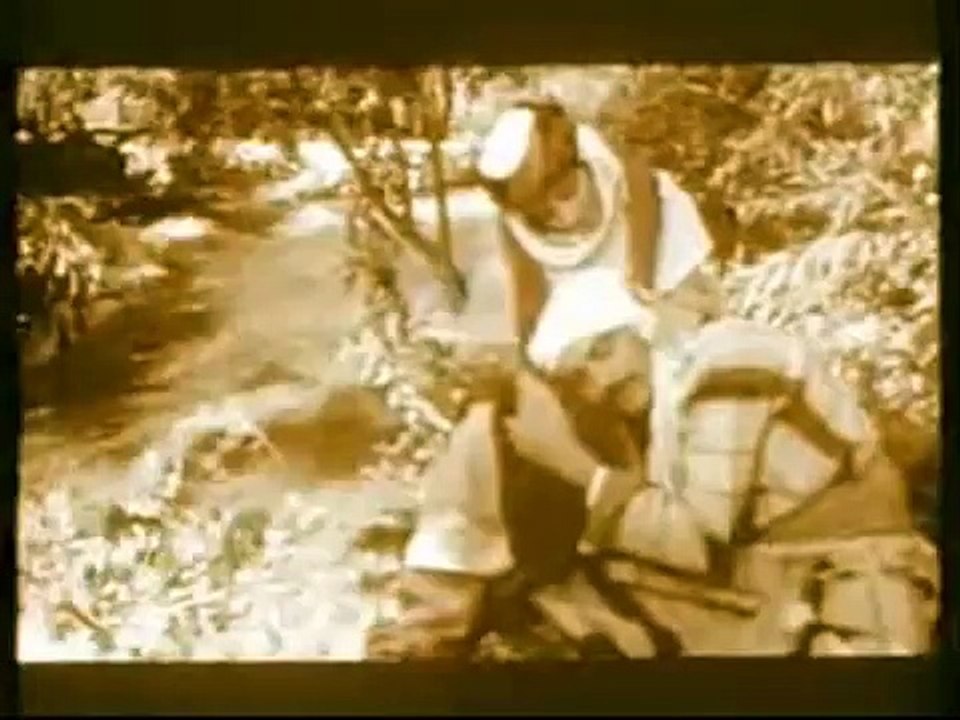 Seyda Perinçek - Ay Le Le Le