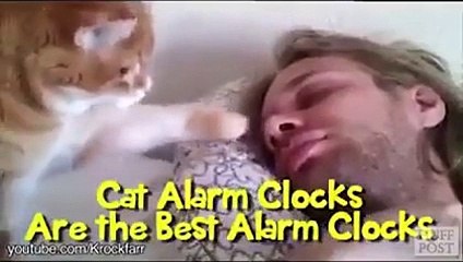 The Most LOVABLE Alarm Clock Ever~~~More Amazing Article , Please Visit http...