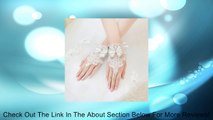 Exquisite Fingerless Rhinestone and Bowknot Bridal Lace Gloves Review