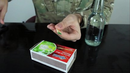 10 Crazy Science Stunts You Can Do at Home #4