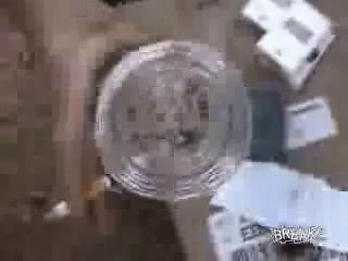 1 araignée contre 20 fourmis !