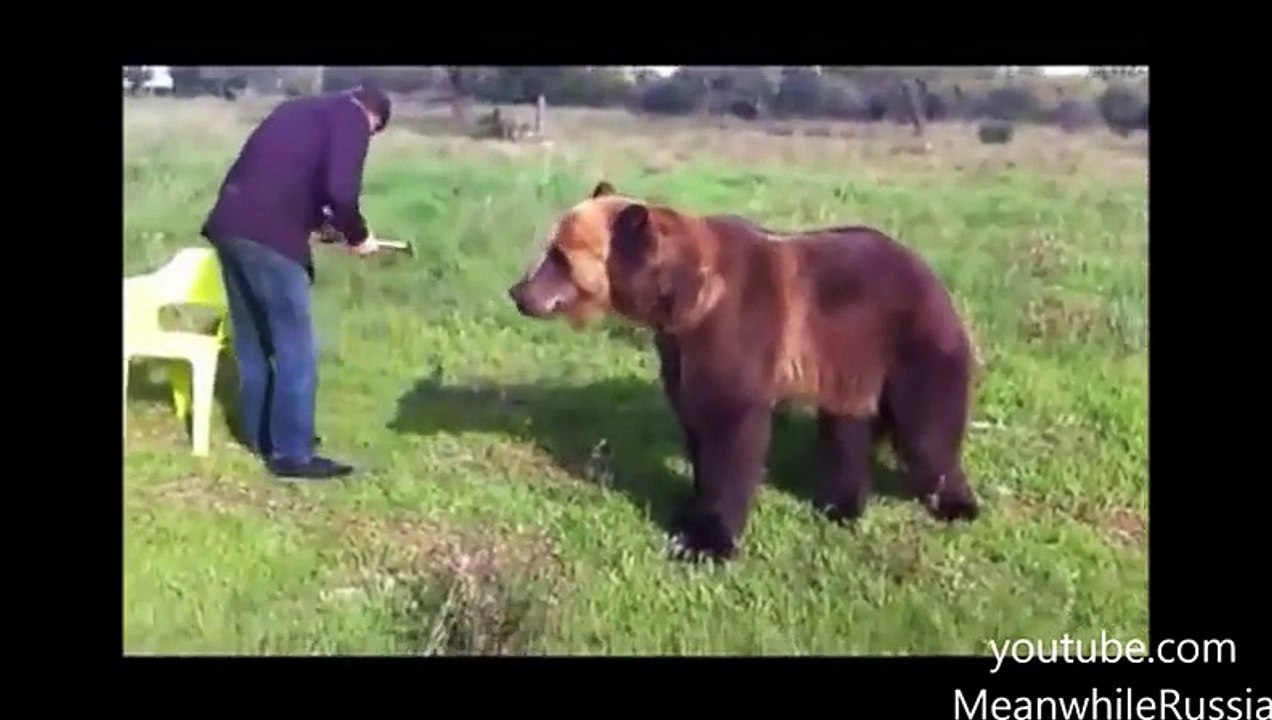 Russian Bear Shows Off His Amazing Tricks