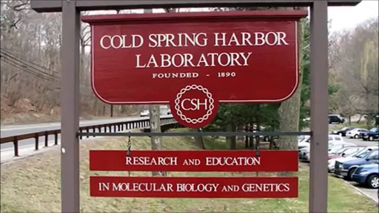 US Criminal Government: CDC  Pharmaceuticals...VACCINE FRAUD; Drs ThompsonWakefield (HD)