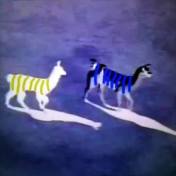 1 Hour of White & Gold or Blue & Black ? #Dressgate