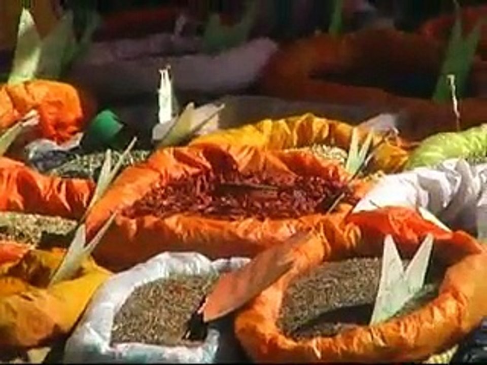 L'île papillon la Guadeloupe