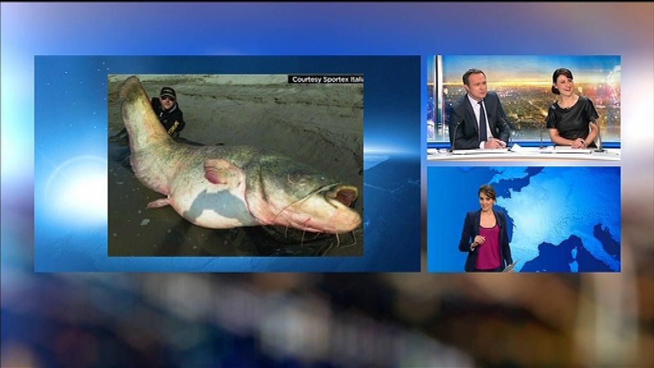 Fanny Agostini donne une recette de poisson chat en direct sur BFMTV