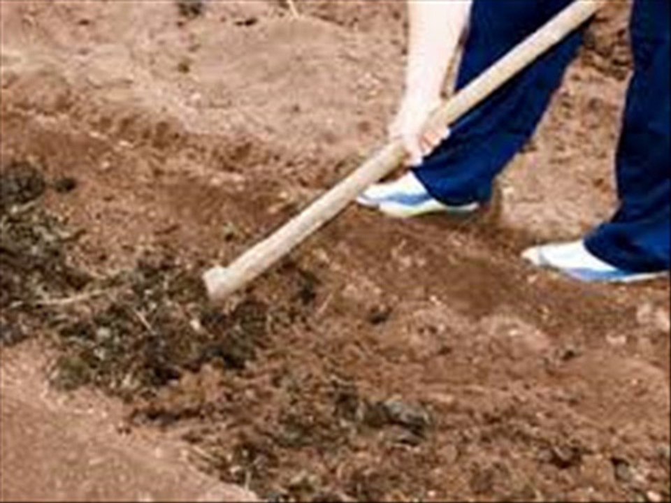 Kitchen Gardening Zameen ki tayari aur khaaden Dr.Ashraf Sahibzada