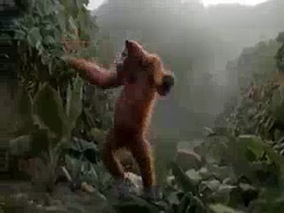 Funny Monkey yo Yo