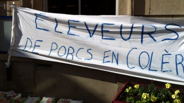 Opération coup de poing des éleveurs de porcs