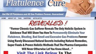 The Flatulence Cure Real Flatulence Cure Bonus + Discount